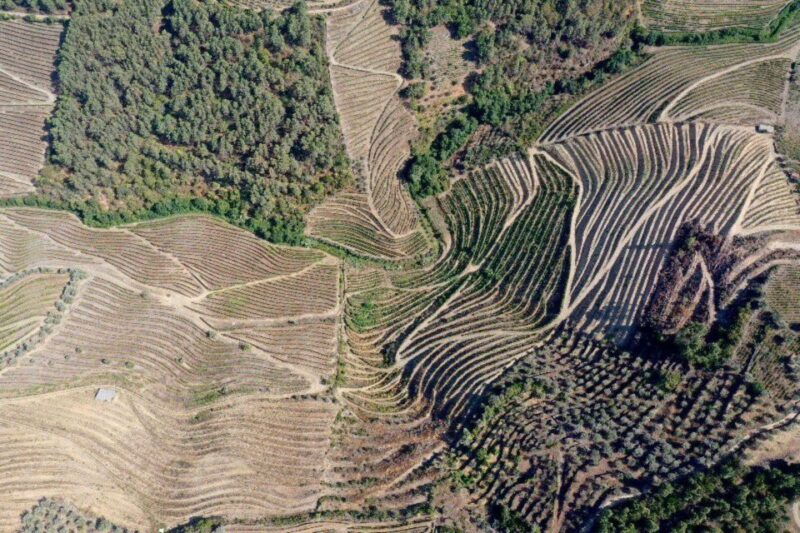 Porto: Douro Valley Tour w/ 3 Tastings, Lunch, & Opt. Cruise - Exploring Pinhão: The Historic Tile Station and Beyond