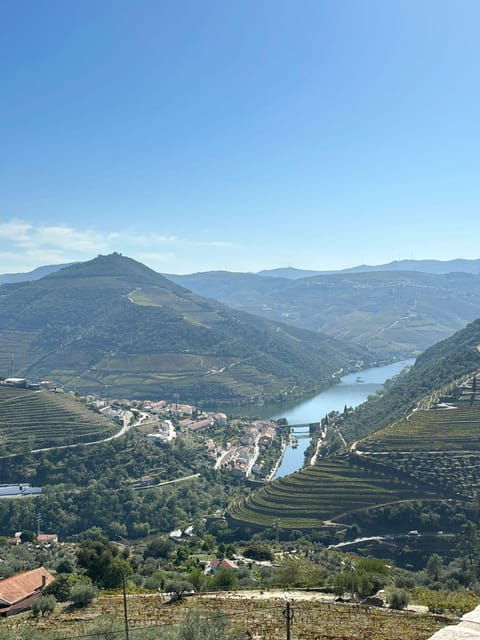 Porto: Douro Valley Tour w/ 3 Tastings, Lunch, & Opt. Cruise - The Olive Oil Museum and Further Tasting