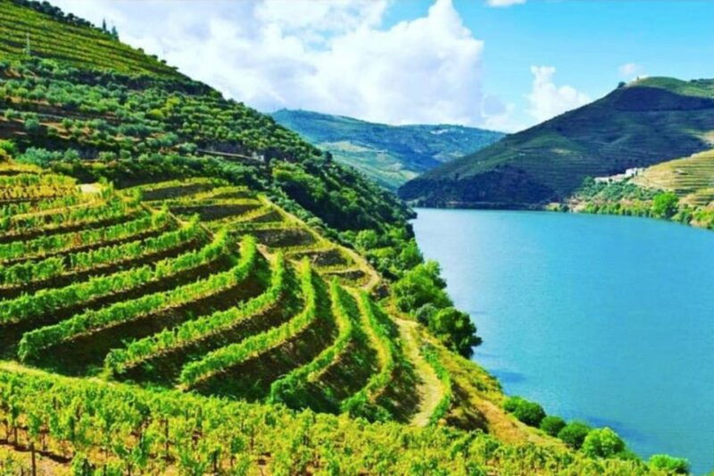 Porto: Douro Valley Tour w/ 3 Tastings, Lunch, & Opt. Cruise - Price and Value for Money