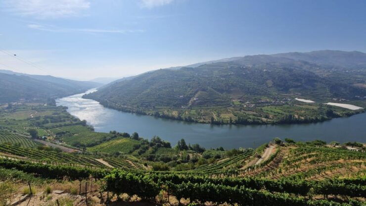 Porto: Douro Valley Tour With 2 Wineries, Cruise & Lunch - Itinerary and Experience