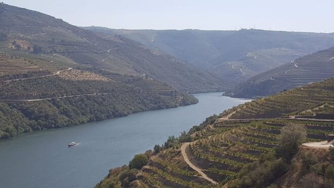 Porto: Douro Valley Tour With 2 Wineries, Cruise & Lunch - Culinary Highlights