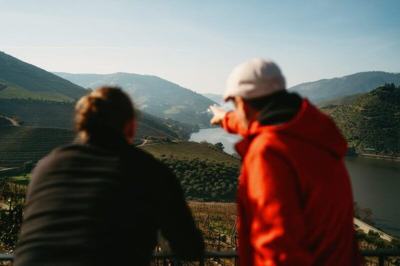 Porto: Douro Valley Tour with 2 Wineries, Lunch and Cruise - What Makes this Tour Stand Out?