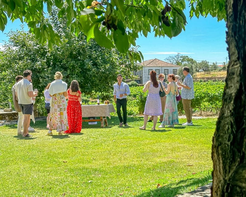 Porto: Douro Valley Tour with 2 Wineries, Lunch and Cruise - The Verdict: Is This Tour Worth It?