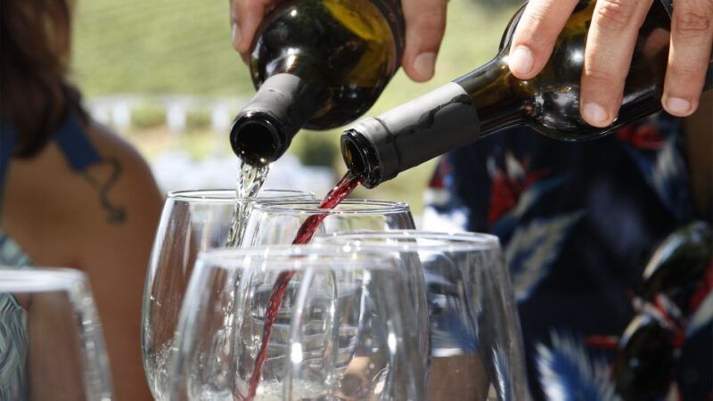 Porto: Douro Valley Tour with 3 vineyards and lunch. - Good To Know