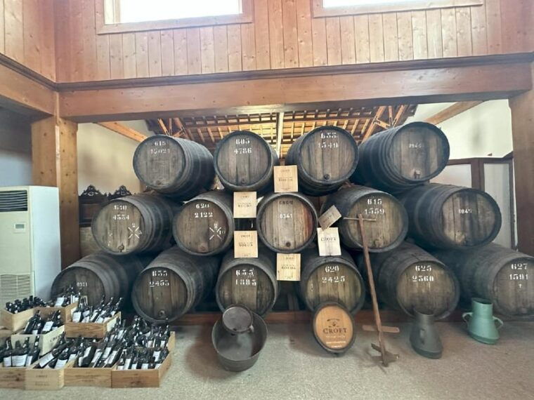 Porto: Douro Valley Tour with 3 vineyards and lunch. - Who Will Love This Tour?
