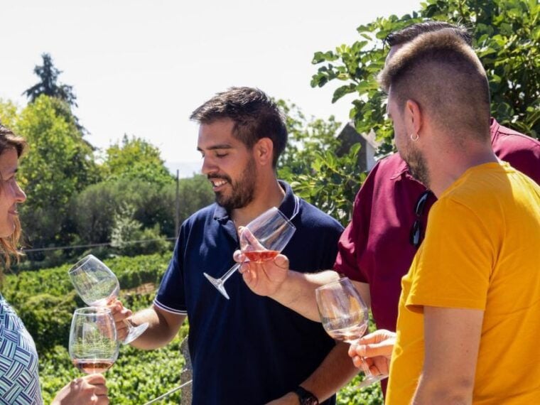Porto: Douro Valley Tour with 3 vineyards and lunch. - Final Thoughts: Is This Tour for You?