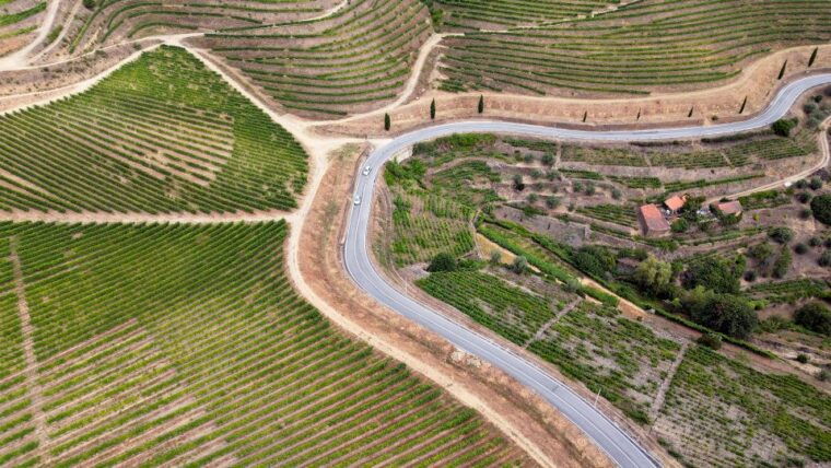 Porto: Douro Valley Tour with 3 vineyards and lunch. - FAQs
