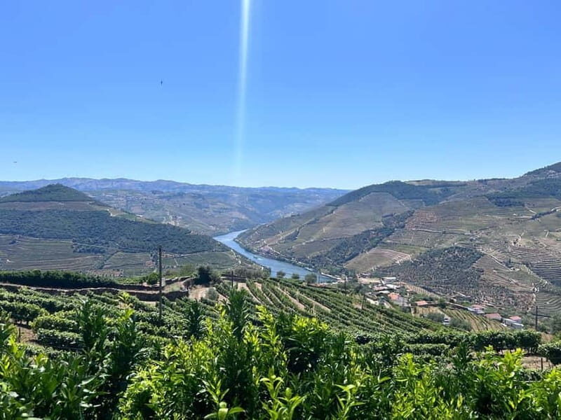 Porto: Douro Valley Tour with 3 Wineries and Lunch - Good To Know