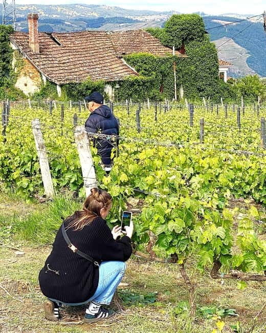 Porto: Douro Valley Tour with 3 Wineries and Lunch - FAQs About the Douro Valley Tour