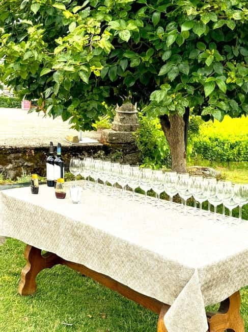 Porto: Douro Valley Tour with 3 Wineries and Lunch - Exploring the Douro Valley: An Authentic Portuguese Wine Journey