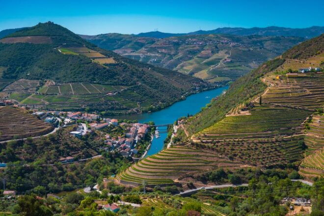 Porto: Douro Valley Tour With Lunch, Boat Cruise & Tastings - Important Information