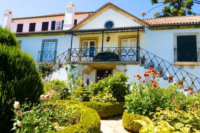 Porto: Douro Valley Tour With Lunch, Boat Cruise & Tastings - Customer Reviews