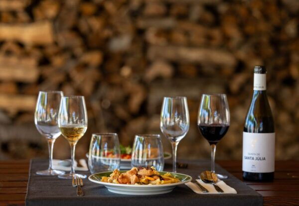 Porto: Douro Valley Tour With Lunch, Boat Cruise & Tastings - The Sum Up