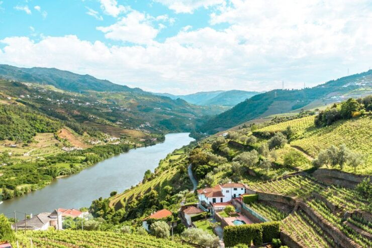 Porto: Douro Valley Tour With Wine Tasting, Cruise and Lunch - Wine Tasting Locations