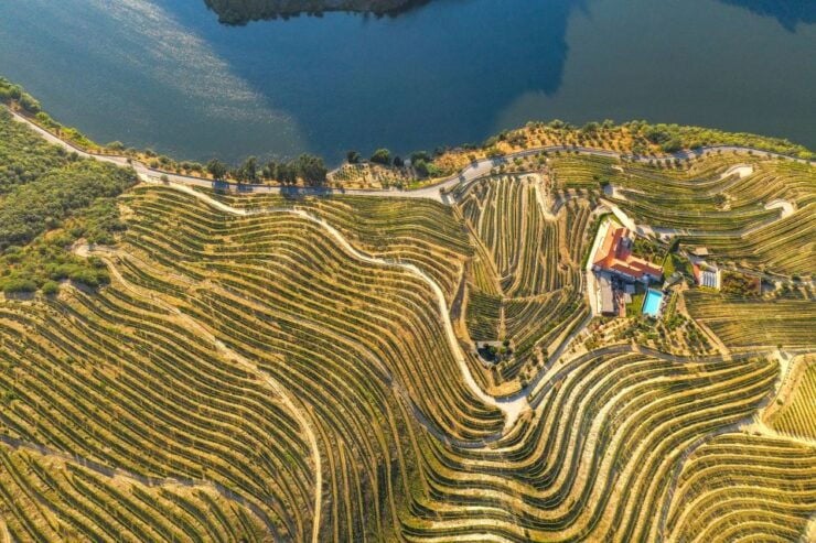 Porto: Douro Valley Tour With Wine Tasting, Cruise and Lunch - Activity Details and Duration