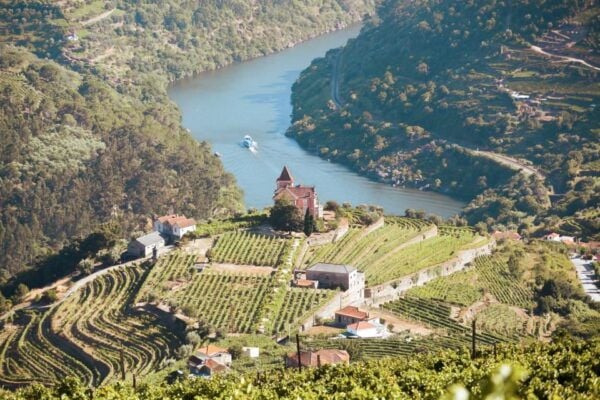 Porto: Douro Valley Tour With Wine Tasting, Cruise and Lunch - Traditional Portuguese Lunch