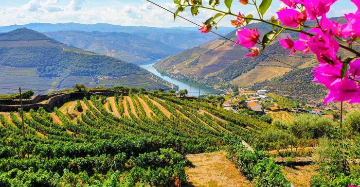 Porto: Douro Valley Tour With Wine Tasting, Lunch & Cruise - Activity Details