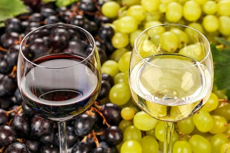 Porto: Douro Valley Tour With Wine Tasting, Lunch & Cruise - Tour Highlights