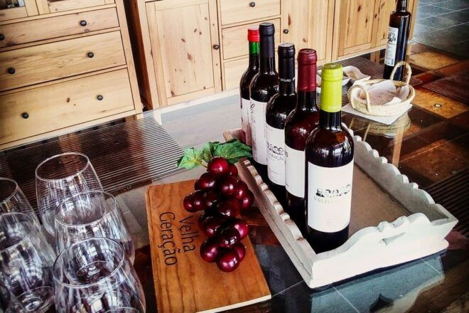 Porto: Douro Valley Tour With Wine Tasting, Lunch & Cruise - Review Summary