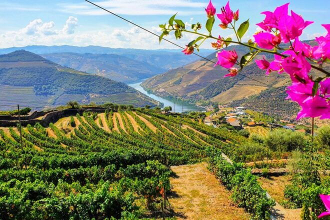 Porto: Douro Valley Tour With Wine Tasting, Lunch & Cruise - Customer Reviews