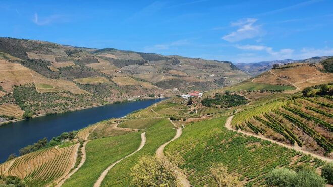 Porto: Douro Valley Tour With Winery Tasting, Cruise & Lunch - Cultural Immersion