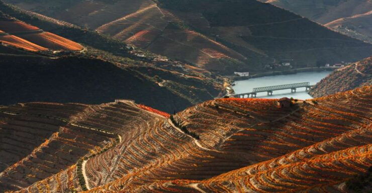 Porto: Douro Valley Trip With Lunch, Winery, and Boat Tour - Activity Details
