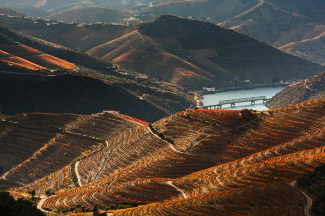 Porto: Douro Valley Trip With Lunch, Winery, and Boat Tour - Tour Description