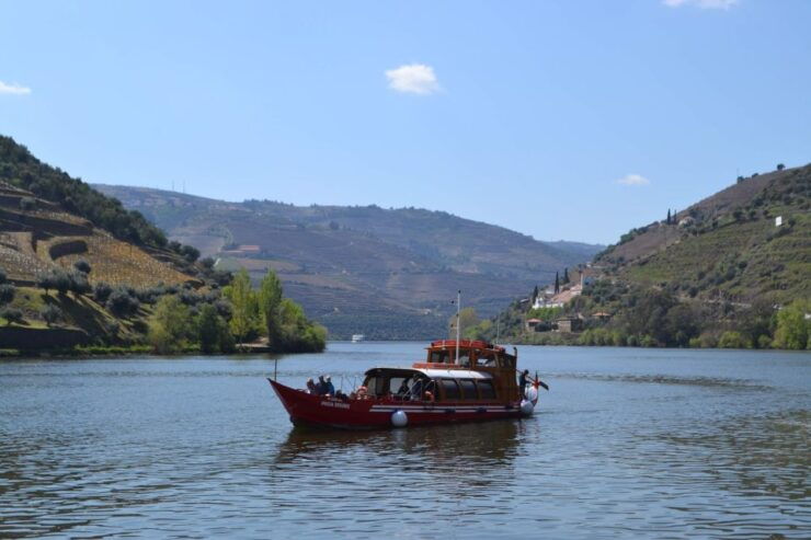 Porto: Douro Valley Vineyard Tour With Lunch & River Cruise - Experience Highlights