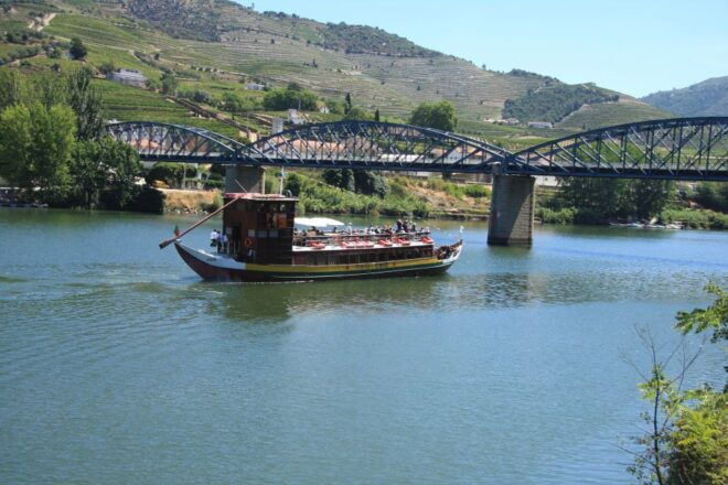 Porto: Douro Valley W/2 Small Wineries, Lunch and 1h Cruise - A Delicious Portuguese Lunch Experience