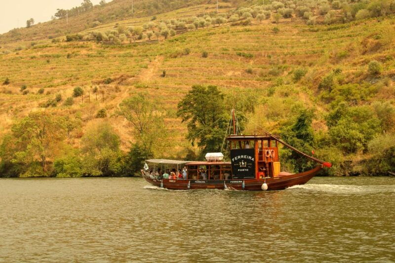Porto: Douro Valley Wine & History Tour with Cruise & Lunch - What Could Be Better?