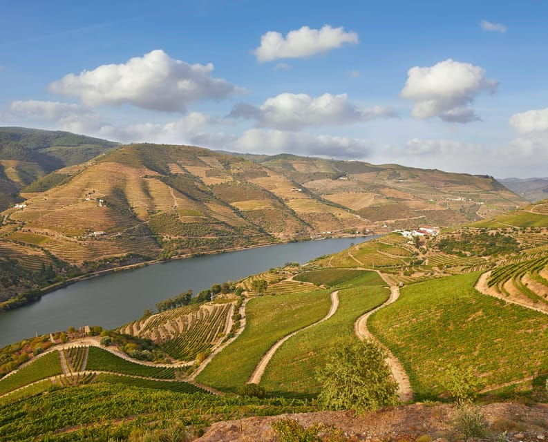 Porto: Douro Valley Wine & History Tour with Cruise & Lunch - Final Words
