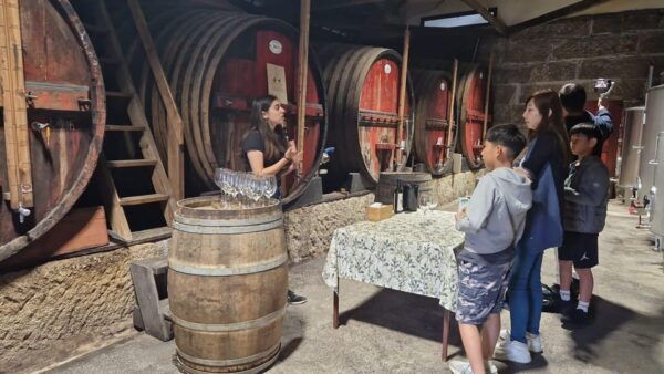 Porto: Douro Valley Wine Tour, Private Cruise & Winery Lunch - Pickup and Transportation