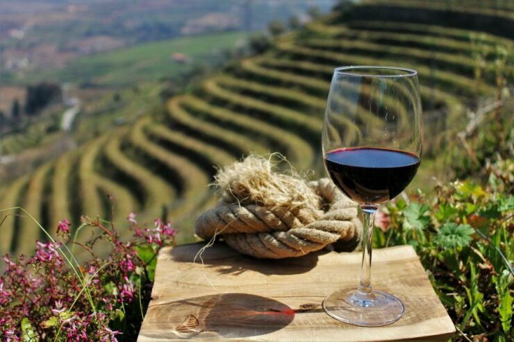 Porto: Douro Valley Wine Tour With Lunch - Tour Booking Details