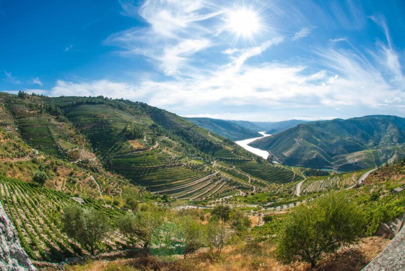 Porto: Douro Valley Wine Tour with Lunch, Tastings & Cruise - Is This Tour Right for You?