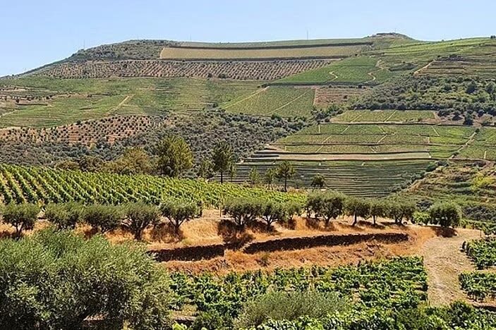 Porto: Douro Valley Wine Tour with Lunch Tastings & River Cruise - Amarante: a historic pause before the wine