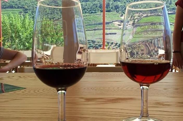 Porto: Douro Valley Wine Tour with Lunch Tastings & River Cruise - A family-farm lunch with Douro wine