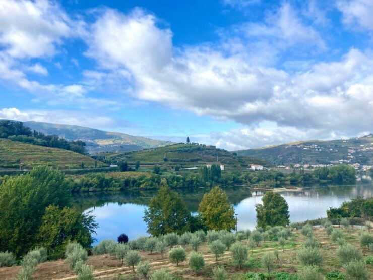 Porto: Douro Valley Wine Tour With Tastings, Boat, and Lunch - Tour Overview