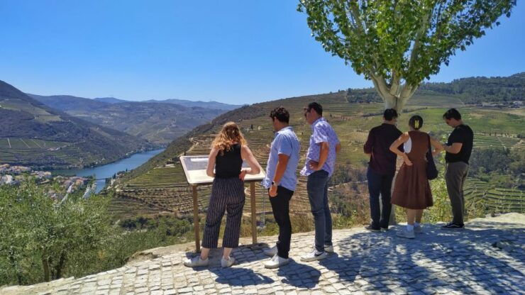 Porto: Douro Valley Wine Tour With Tastings, Boat, and Lunch - Activity Details