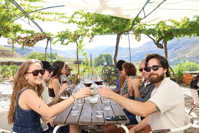 Porto: Douro Valley with Small Wineries, Lunch and Boat Tour - The Scenic Drive into the Douro Valley