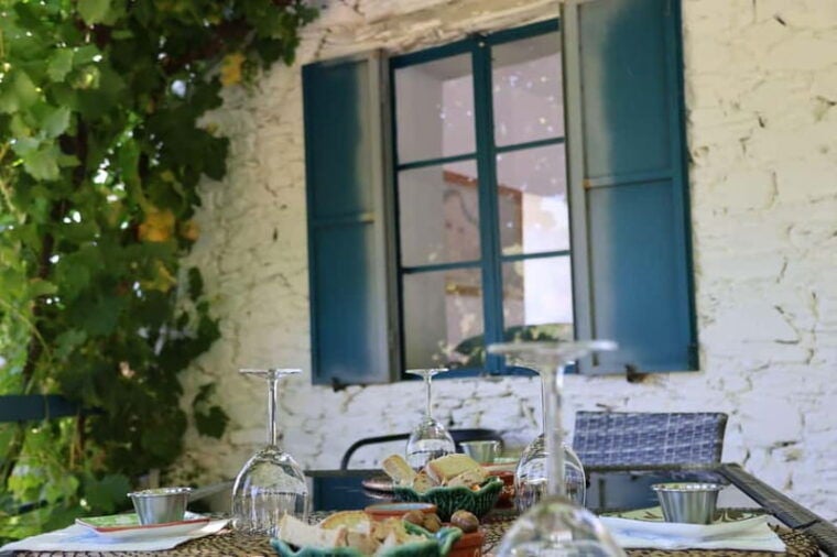 Porto: Douro Valley with Small Wineries, Lunch and Boat Tour - The Douro River Boat Cruise: Views Only Accessible by Water