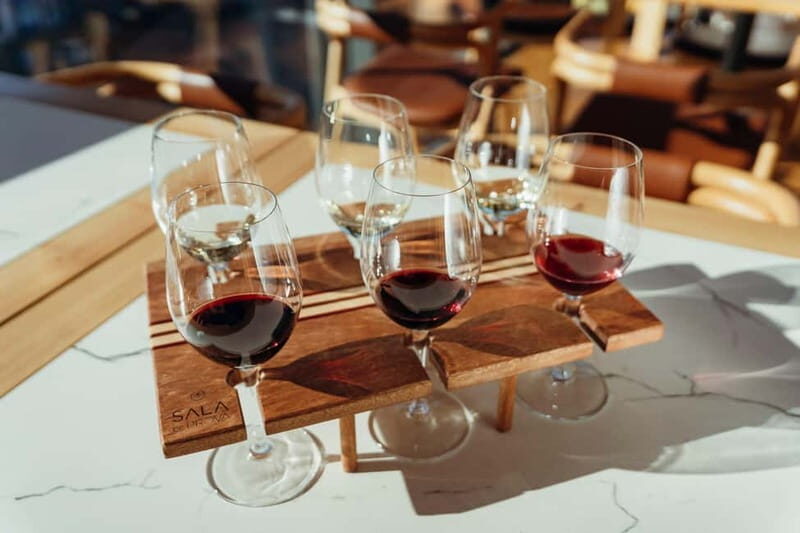 Porto: Douro Wine Tasting in the Tasting Room - Who Will Love This Experience?