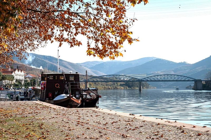 Porto: Douro Wine Tour with Lunch and River Cruise - FAQ