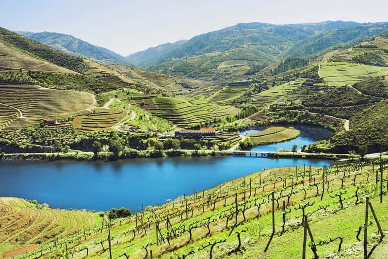 Porto: Douro Wine Tour with Lunch and River Cruise - Transportation and Group Size