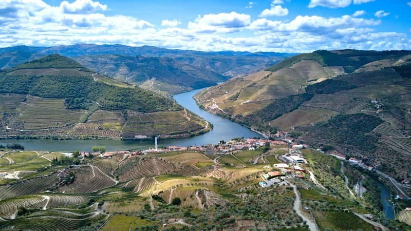 Porto: Douro Wine Tour with Lunch and River Cruise - Final Thoughts