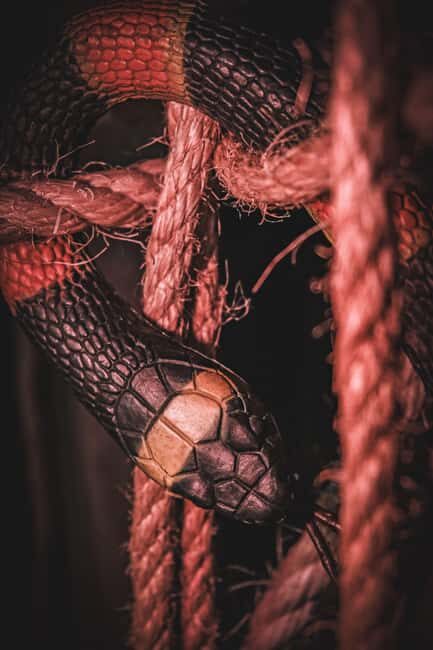 Porto Escape Room: Catacomb Jones - What Do Past Reviewers Say?