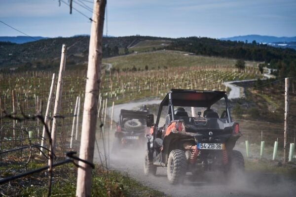 Porto: Extreme Tour by Oporto Buggy - Common Questions