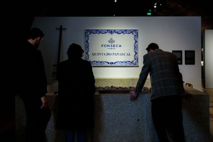 Porto: Fonseca Cellar Tour & Fado Show with Optional Dinner - Final Thoughts