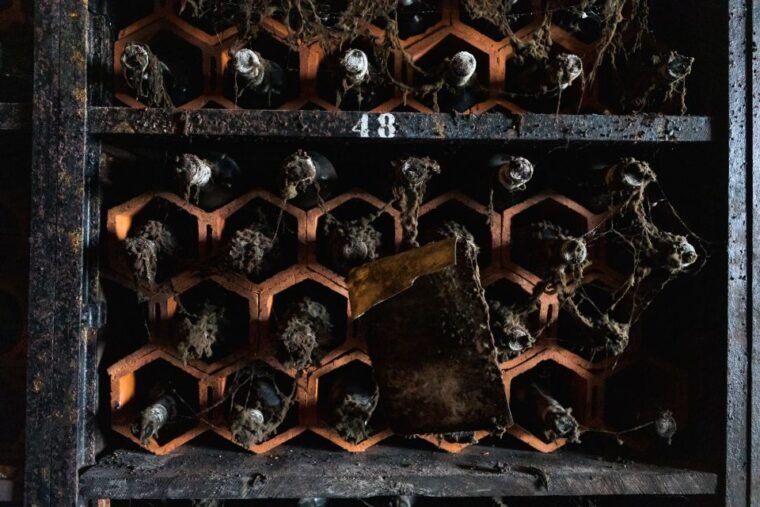 Porto: Food & Wine Tasting Walking Tour with Port Wine Cave - Value for Money