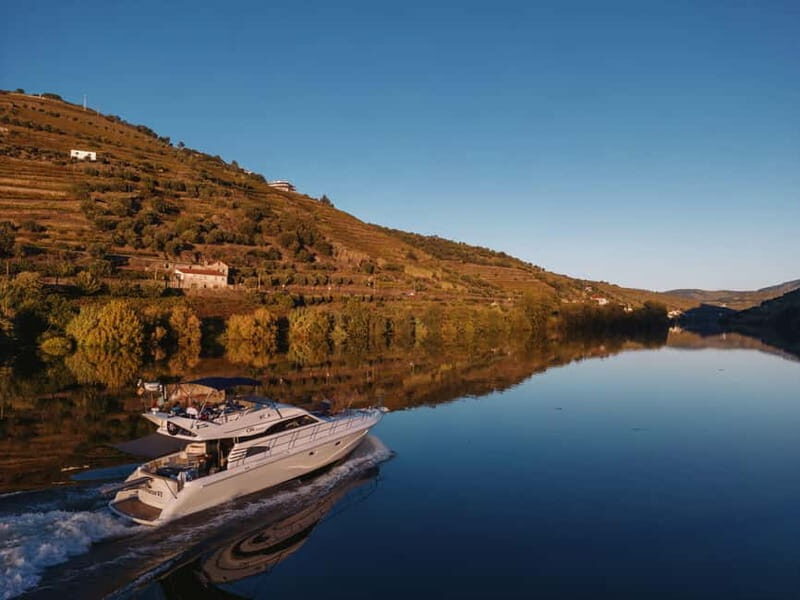 Porto: Full Day Douro River Cruise from Porto to Régua - The Heart of the Itinerary: A Day of Discovery