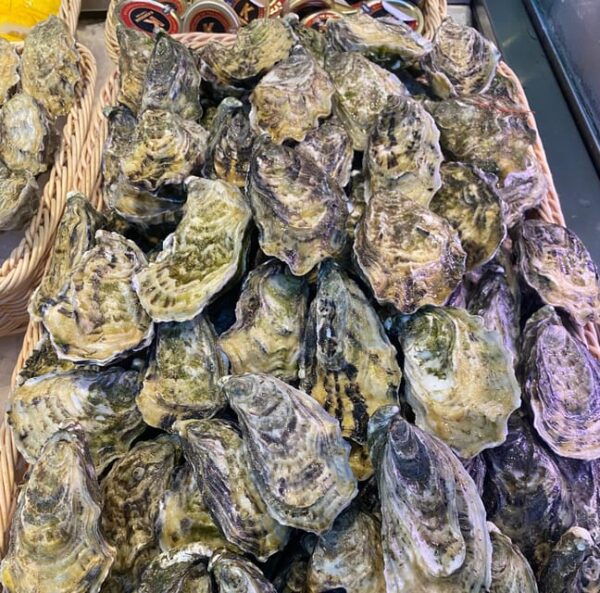 Porto Gourmet Private Food & Wine Tour With a Sommelière - Frequently Asked Questions